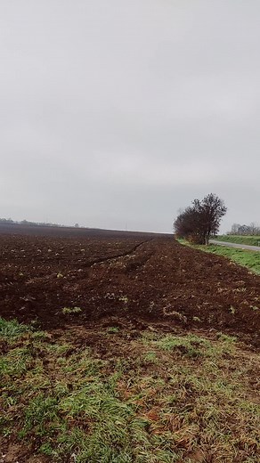 Showcasing Agricultural Landscapes with Truck LKW NIKOLIC