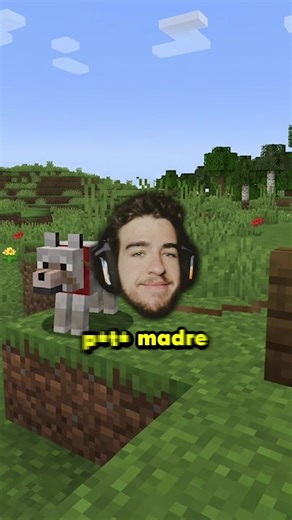 Museo de animales 🤣 #elded | el ded