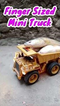 Mini RC Truck Extreme Off-Road Test! (Surprisingly Fast)