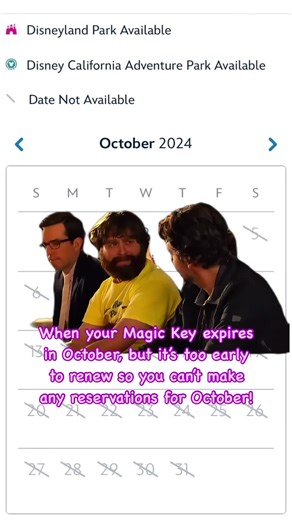 We’re stuck in limbo here 😭🤣 - - - #firstworldproblems #disneyland #disneyaddicts #disneyadults #disneylandresort #magickeyholders #happiestplaceonearth