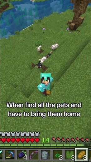 Gotta Catch All the Pets… Minecraft Edition 🐾
