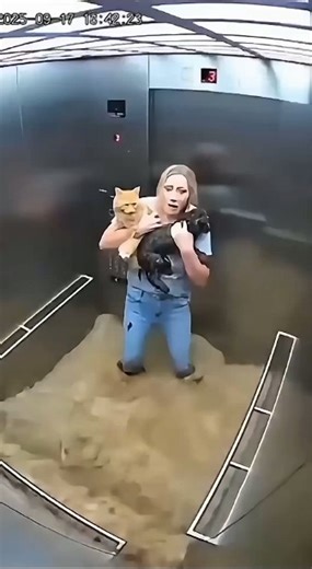 Heroic Woman Saves Pets from FLOODING Elevator | Unbelievable Survival Story