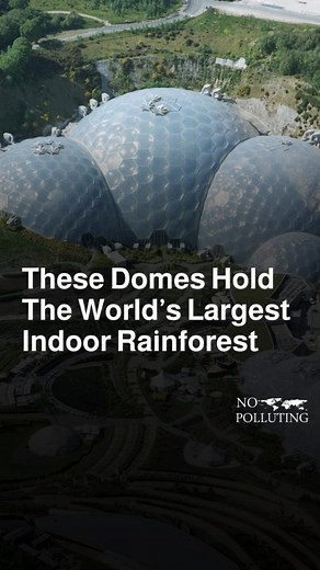 Nopolluting on Instagram: "The Eden Project is a giant ecological garden in Cornwall, England, with massive domes that house rainforests, Mediterranean landscapes, and thousands of plant species from around the world. Inside, you’ll find tropical crops like bananas, cacao, coffee, and sugarcane growing alongside Mediterranean staples such as tomatoes, olives, citrus fruits, and herbs. Even pumpkins and sunflowers flourish in the outdoor gardens. All of this grows under domes made from ETFE — an 