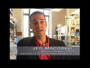 UNLOCKING THE MYSTERY OF LIFE - FULL DOCUMENTARY - INTELLIGENT DESIGN