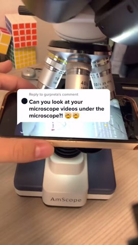 Top Microscopes for Students and Professionals