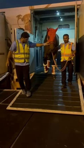 We’ll miss you, FOREVER YOUNG! #フォーエバーヤングThe star returns home to Japan 👋🏽#DWC26