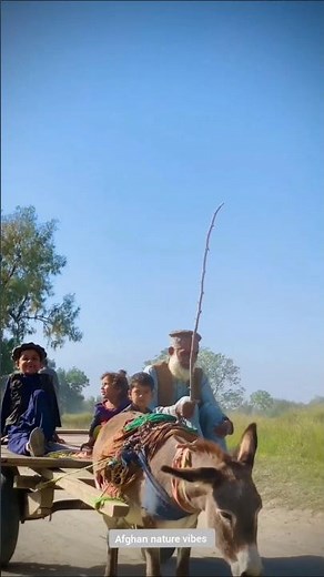 Afghanistan Village Life – Simple Days, Pure Moments 🇦🇫🌿