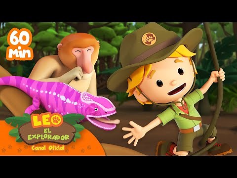 1 HORA CON REPTILES Y CRIATURAS DE LA SELVA! | Leo, El Explorador | Animación | #compilación