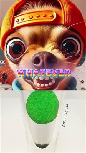 Chihuahua Gets Double Grounded 😂 Sound: ‪@VuxVux‬ #memes