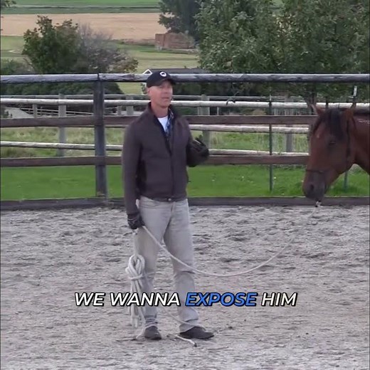 First Saddling Experience: Bareback Pad Method #shorts