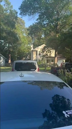 “Toothless” flying dragon. “How to Train your Dragon” RC flyer. $34.99 at Walmart we’ll worth it!