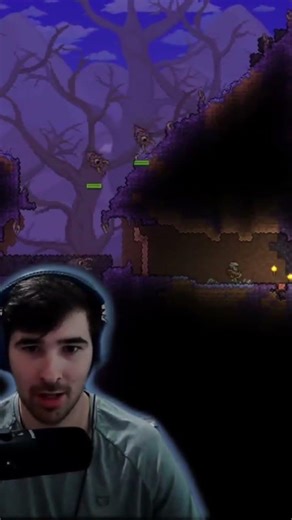 I DIDNT KNOW THEY HAD GANGS IN TERRARIA!! #pc #gaming #terraria #streamer