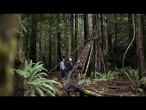 Expedition Bigfoot | S5 E7 | Team Reunites To Compare And Analyse The Tree Structures [HD] [2024]