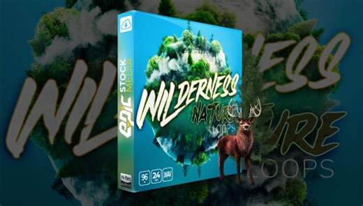 真实荒野自然森林环境鸟鸣水流树叶氛围音效素材 Epic Stock Media Wilderness Nature Loops（10514）