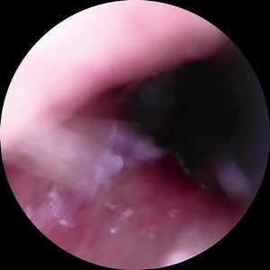 Watch Useful and easy on Amazon Live