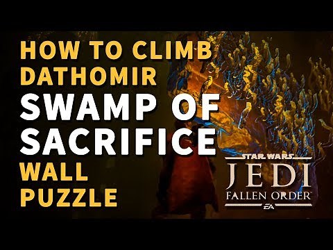 Swamp of Sacrifice Wall Puzzle Dathomir Star Wars Jedi Fallen Order