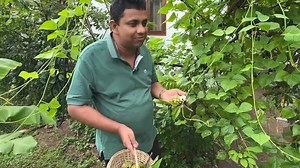 ගොවිපළ ....❤️❤️❤️💐🦆🐓🐓🦆🌾🌾 | Nilantha Dilruk