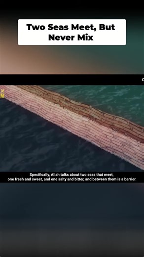 Discover how temperature, density, and salinity form invisible oceanographic barriers, dividing vast bodies of water. Explore the science behind these natural divisions. #Oceanography #MarineScience #ScienceExplained #WaterProperties #OceanBarriers