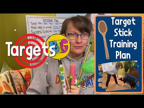 Susan Garrett's Target Stick Training Part Two - Step by Step Plan