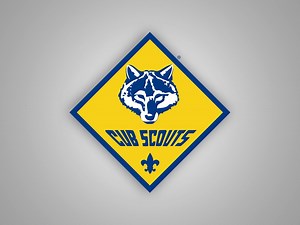 Cub Scouts program spotlighted: 'Skills that last a lifetime' - WBBJ TV
