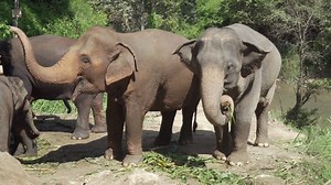 Boats, Boat, Long Boat, River