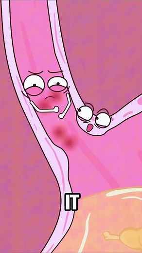 Cartoons Science = Learning Made Fun 🤯📚🎨 #animation #funny #video