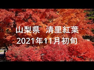 清里高原の紅葉 2021年11月上旬(写真で構成)