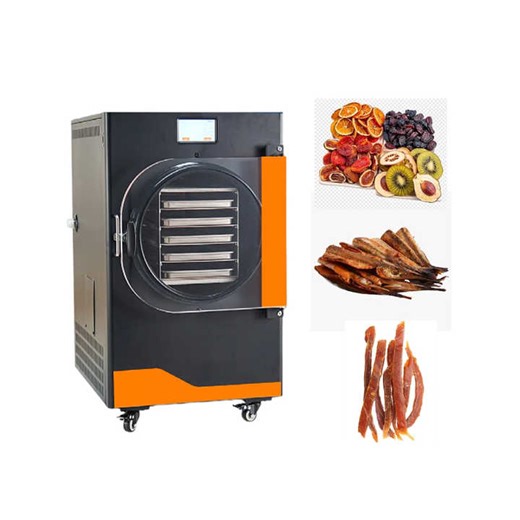 Small Mini Freeze Dryer Vacuum Lyophilizer Freeze Drying Machine for Food Fruits and Vegetables Jerky Lyophilizer Freeze Dryer