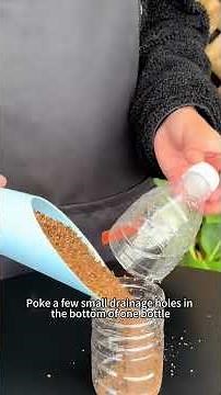 Two Easy Ways to Propagate Gardenia in Spring #gardenia #plantpropagation #cuttingtips