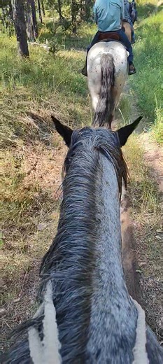 Donna Murphy on Reels