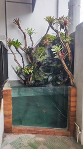 4.4K views · 35 reactions | Nature Koi Pond with Waterfalls feature....