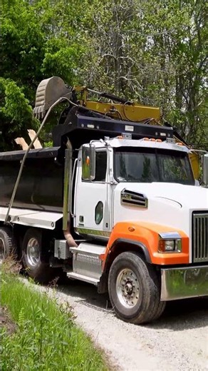 Shed Demolition & Tree Removal Job