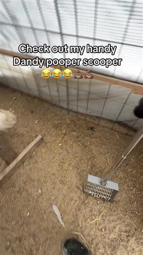 Efficient Pooper Scooper for Farms and Pets