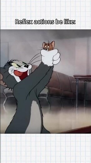 How reflex actions work (Explanation below)