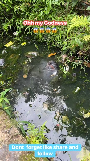 Firecrackers in a water Experiment #experiment #diy #faceebookreels #rocket #idea #knowledge #tecnology #shareideas #reelschallenge #entertainment #firecrakers #trandingreels #simpleexperiment #crafts #shares #homedecor @sorotan | Oppenheimer Jr.