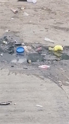 crying cow bomb #fireworks #stonewaterfountain #diwalicelebration #2026