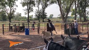 Fast Back Ropes on Reels