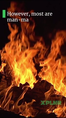 What exactly ignites a wildfire?