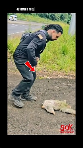 Why Sloths Move So Slow! (Life-Saving Rescue) 🍃 (SLOTH RESCUE)❤️💗