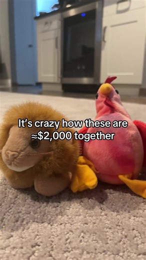 The lion alone is 1k #beniebaby #benieboo #ty #colector #vintage