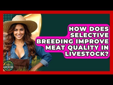 How Does Selective Breeding Improve Meat Quality In Livestock? - The World of Agriculture