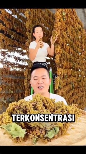 Proses tradisional pembuatan kismis😮 #shorts