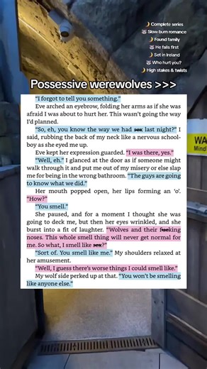 📚 The Hybrid Wolf Series by Ciara Delahunt is a complete Dublin-based paranormal romance. Start with Wolf Bait (series must be read in order). 1. Wolf Bait 2. Blood Moon 3. Truth Bites 4. Fated Pack 🌙🌙🌙 #werewolfromanceomance #paranormalromancebooks #possessivebookboyfriend #slowburning #slowburnbooks #werewolfromancebooks #whodidthistoyou #fantasyromancebooks #booktokfyp2025 #bookssetinireland