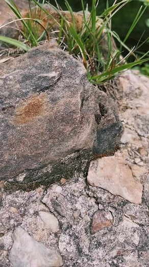 Sparta Candle Co. on TikTok