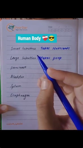 Human Body 🤯🩺❤️‍🩹#share #handwriting #humananatomy #subscribe #bodyparts