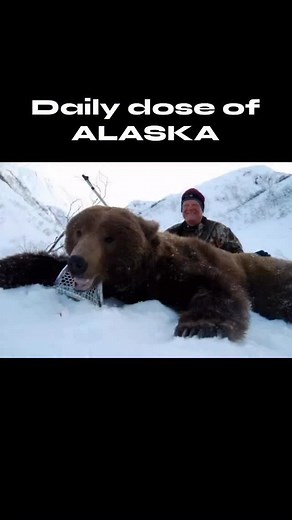 Early bear hunts are an adventure! Going through photos getting ready for the Sports Shows got me excited for April! #bearhunting #grizzly #brownbear #skiflying #alaska #huntingseason #hunt #highcountryalaska #jeffpralle | High Country Alaska