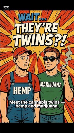 CannaInsights | Hemp vs Marijuana 🌿: What’s the REAL Difference? 🤯 | #CBD #Cannabis #shorts