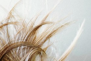 Cycle de vie du cheveu : nous vous expliquons tout ce qu’il faut savoir