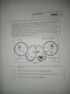 LIFE SCIENCESGR120624112.3 Study the taxt and diagrams 1 and... | Filo