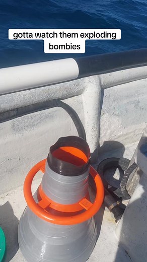 Exciting Trout Fishing in the Great Barrier Reef